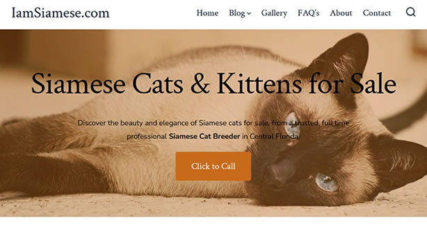 web-design-in-deland